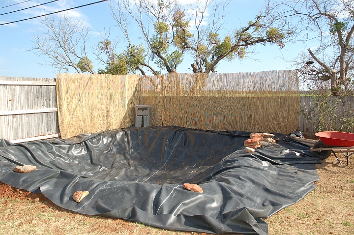 Started installing reed background fence.jpg